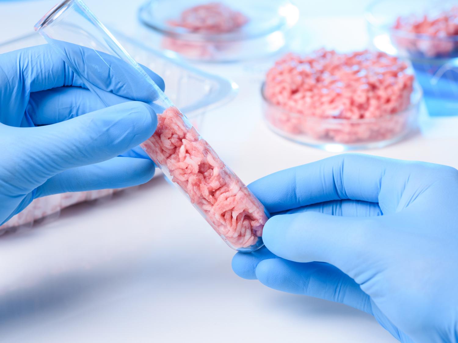 cell-cultured meat