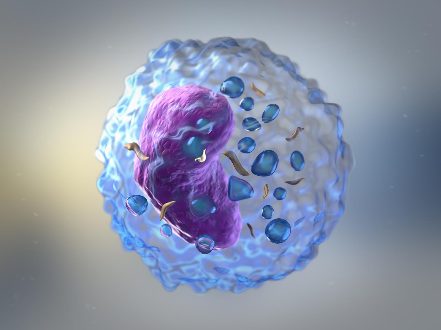 artist rendition of cell