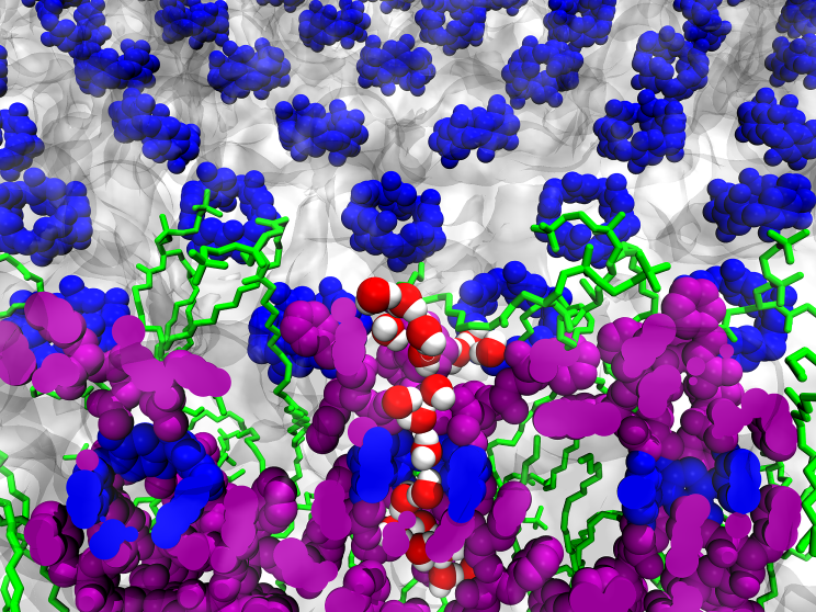 Artificial water channel array 