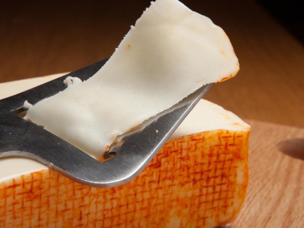 cheese-making short course