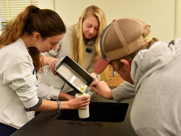 Penn State Altoona students in Food Science 105 experience cheese-making