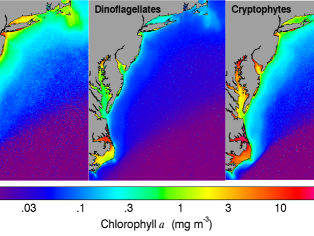 chlorophyll graphs