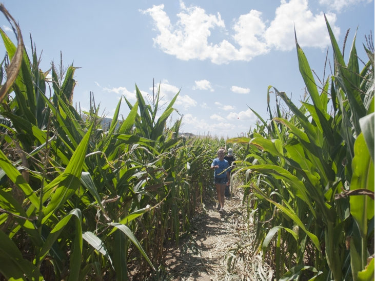 Ag Progress Days pix