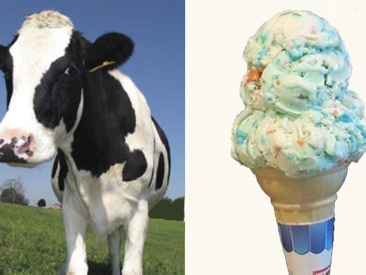 holstein to ice cream