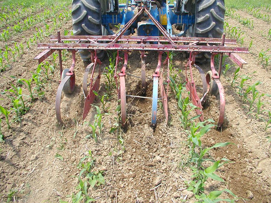crop cultivator