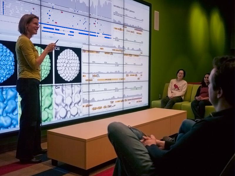 Szpara uses the wall to teach her students how the HS virus encodes and produces its protein shell or "viral capsid." 