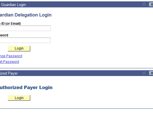 Delegated access and authorized payer