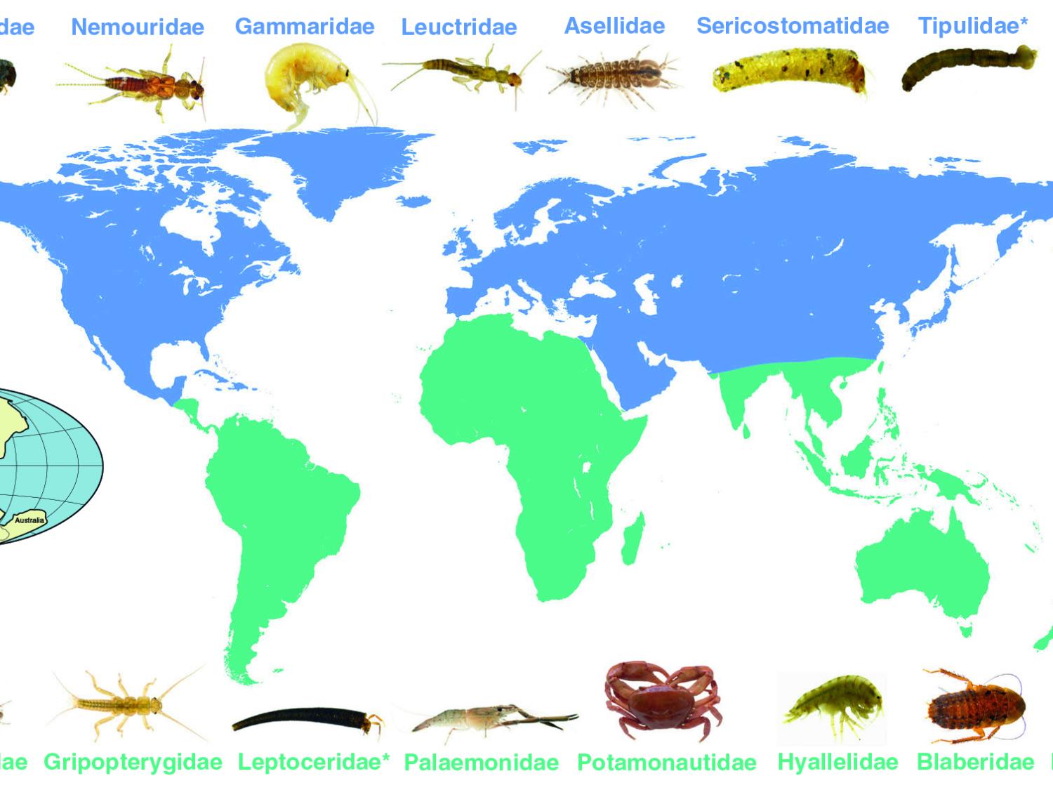 world map