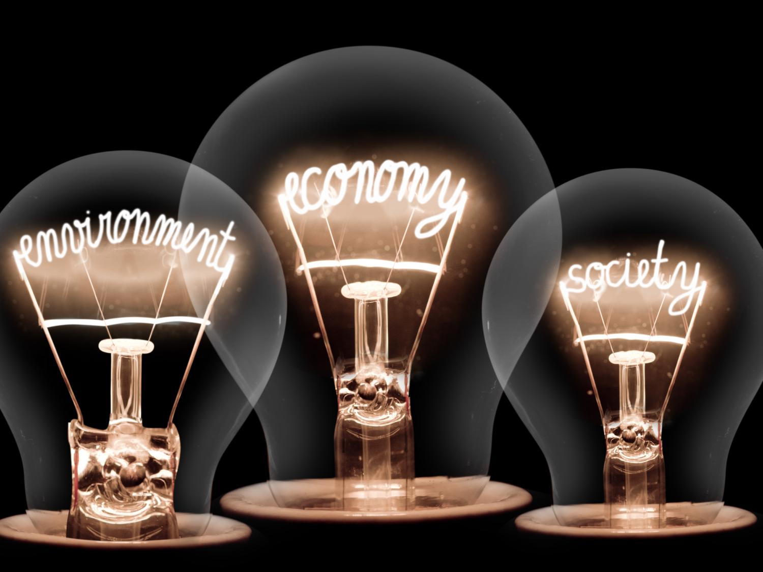economy lightbulbs