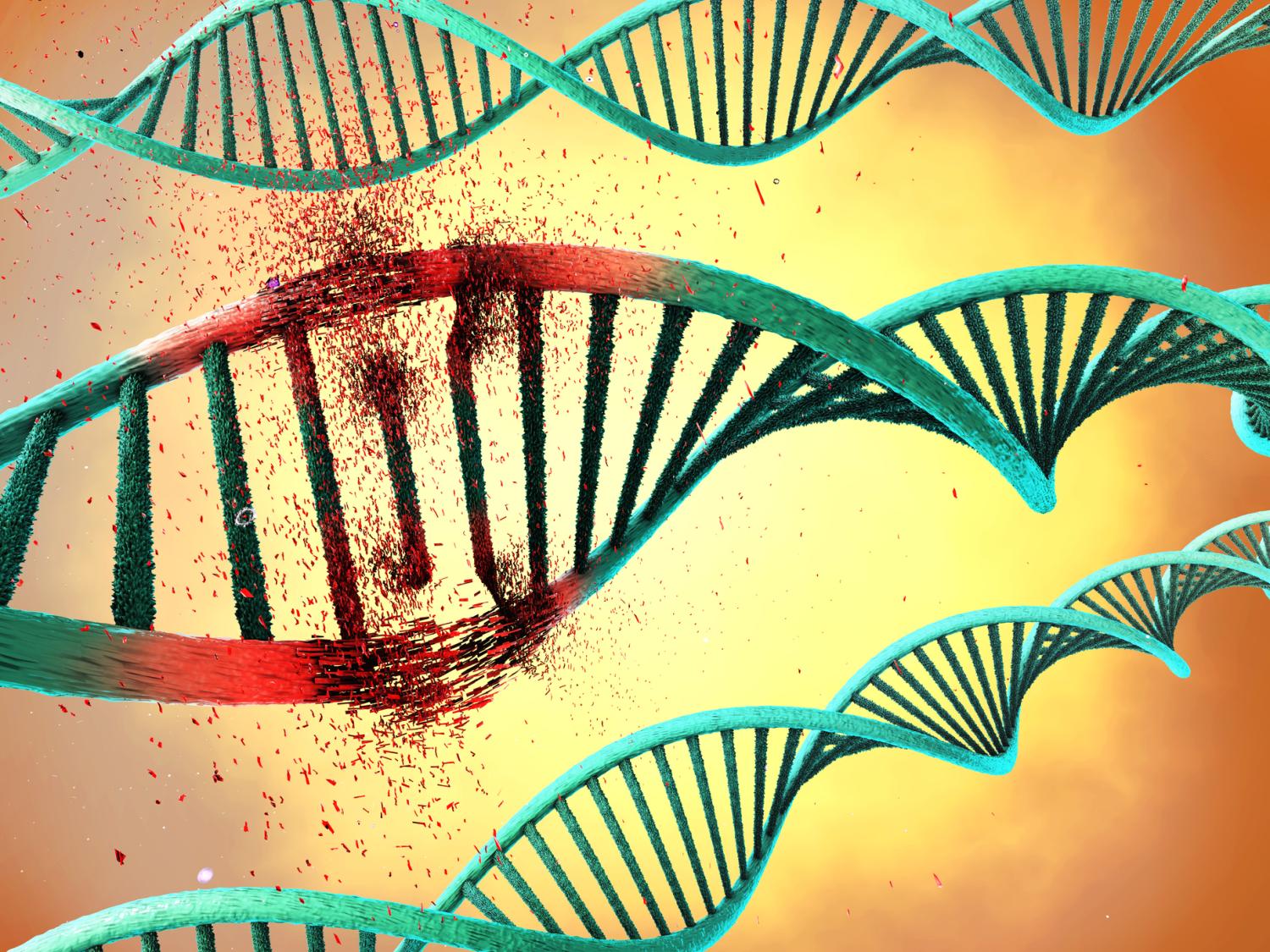 DNA mutation