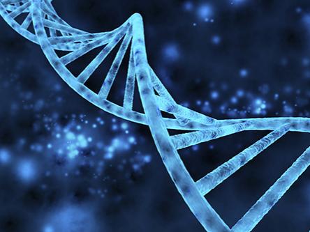 DNA strain