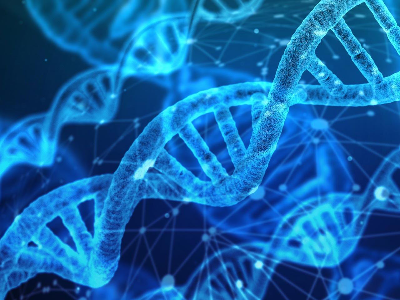 DNA 