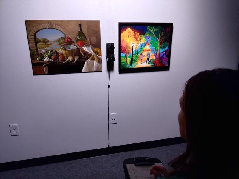 Two paintings on a wall are viewed by a shadowed woman. 