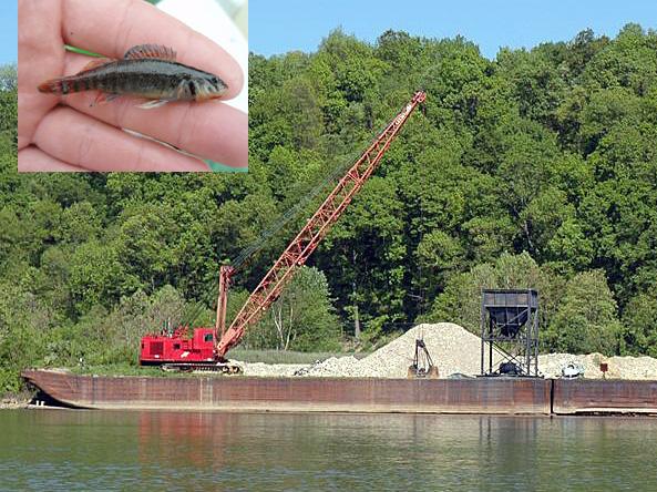Gravel dredging barge