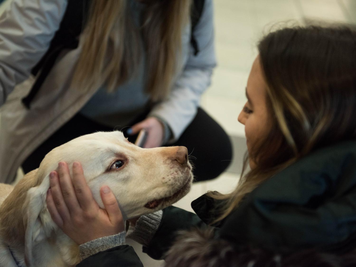 student petting dog