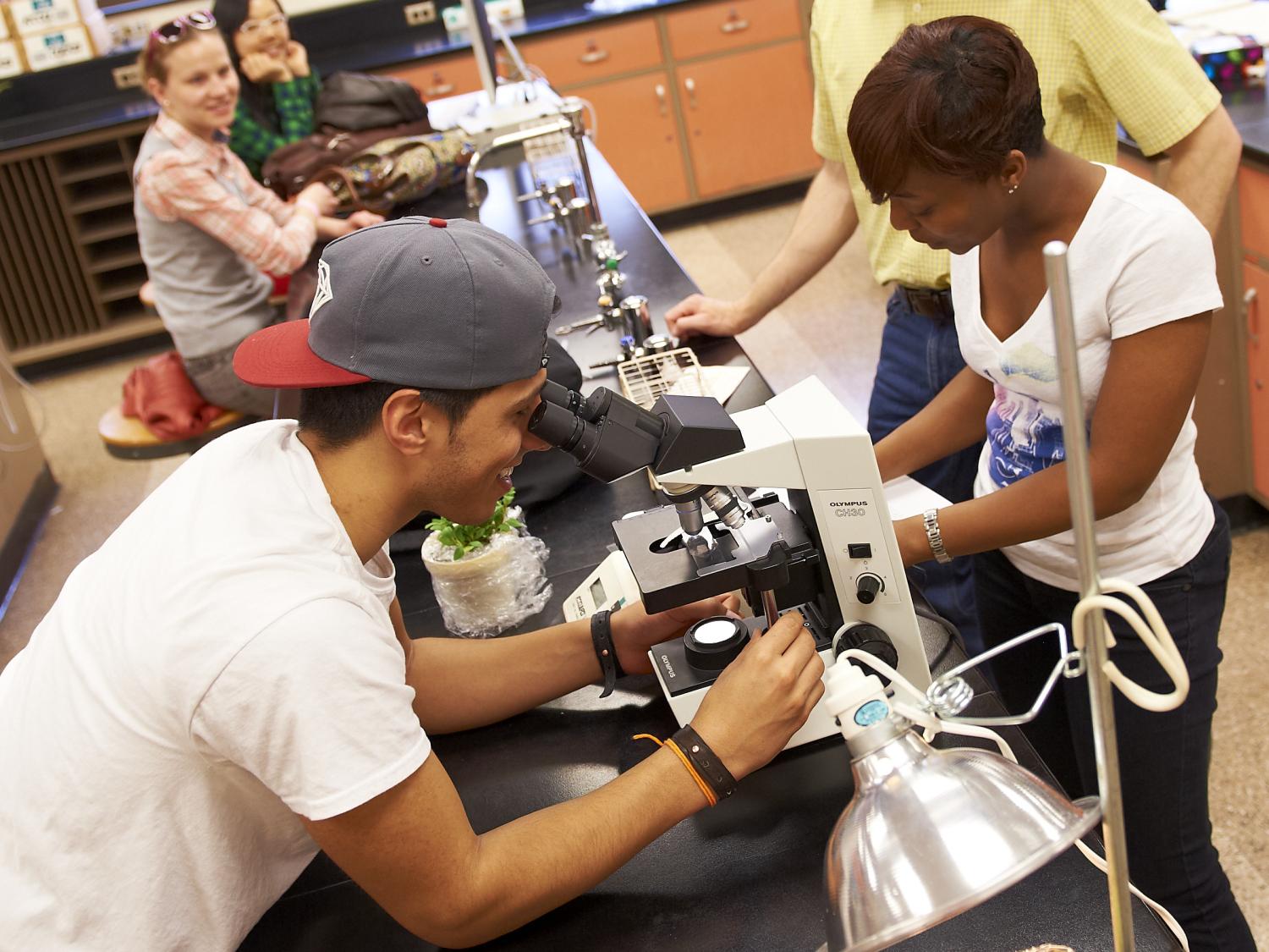 Abington biology chancellor's grants