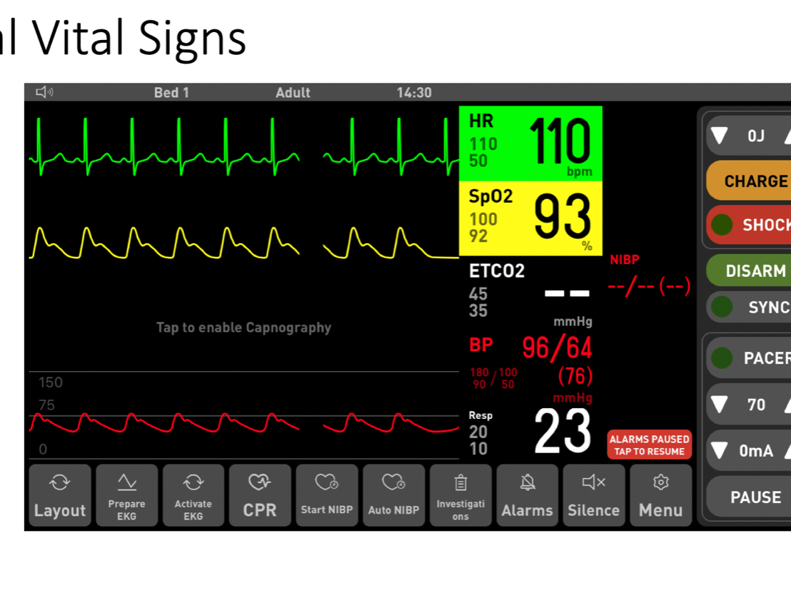 Screenshot of the virtual panel used in simulation experiences
