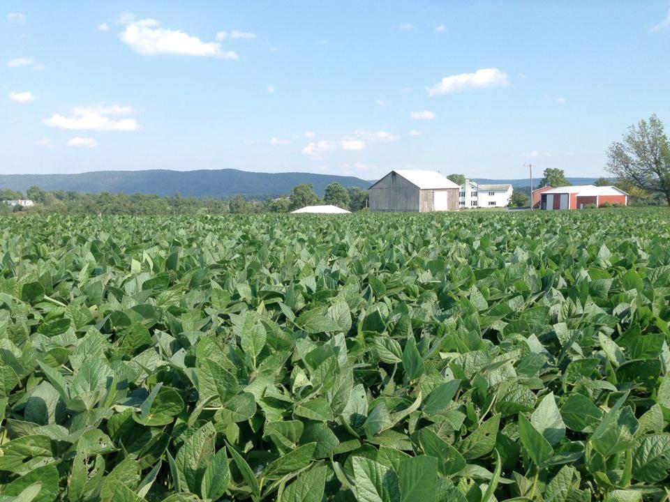 A photo of a farm in central Pennsylvania