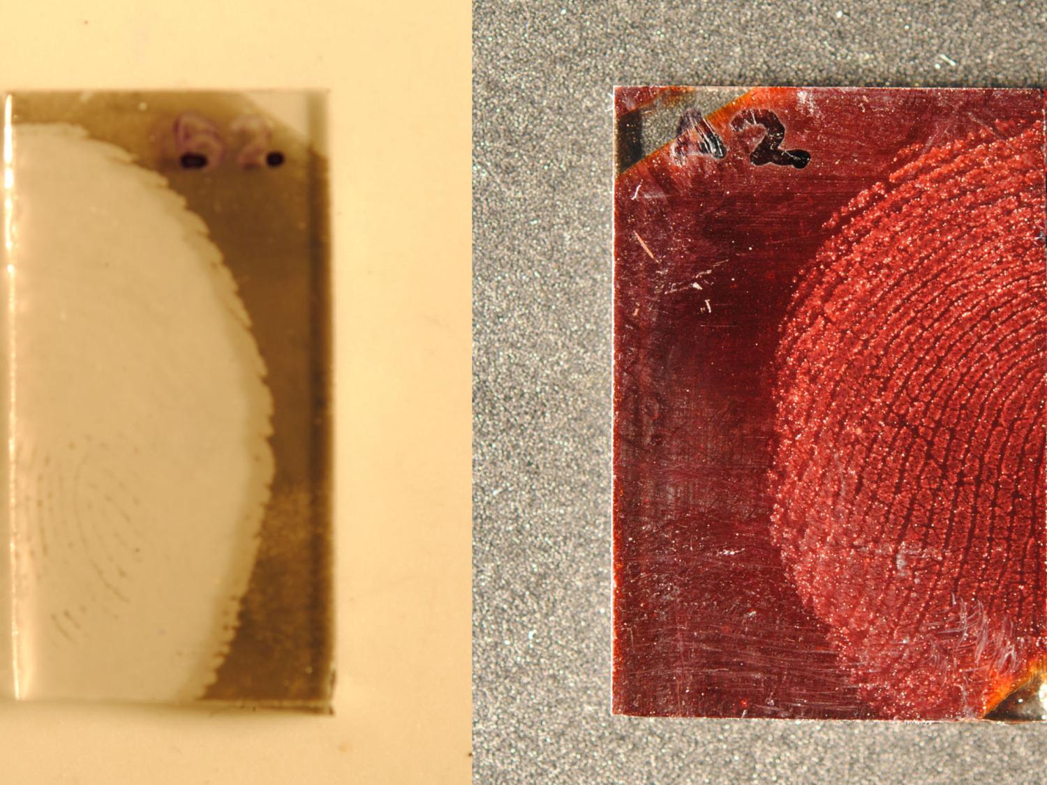 A fingerprint using the old and new method of identification