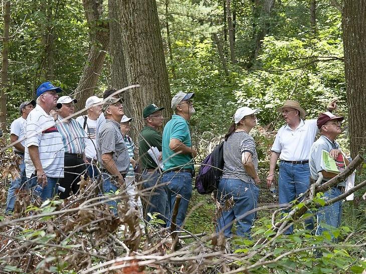 older folks in forest