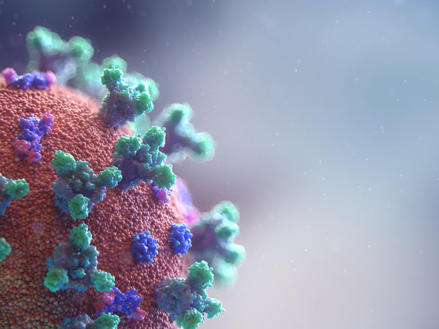 Rendering of SARS-CoV-2 virus