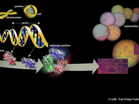 The genome is an organism’s complete set of DNA, organized into chromosomes containing genes which encode for hereditary traits.
