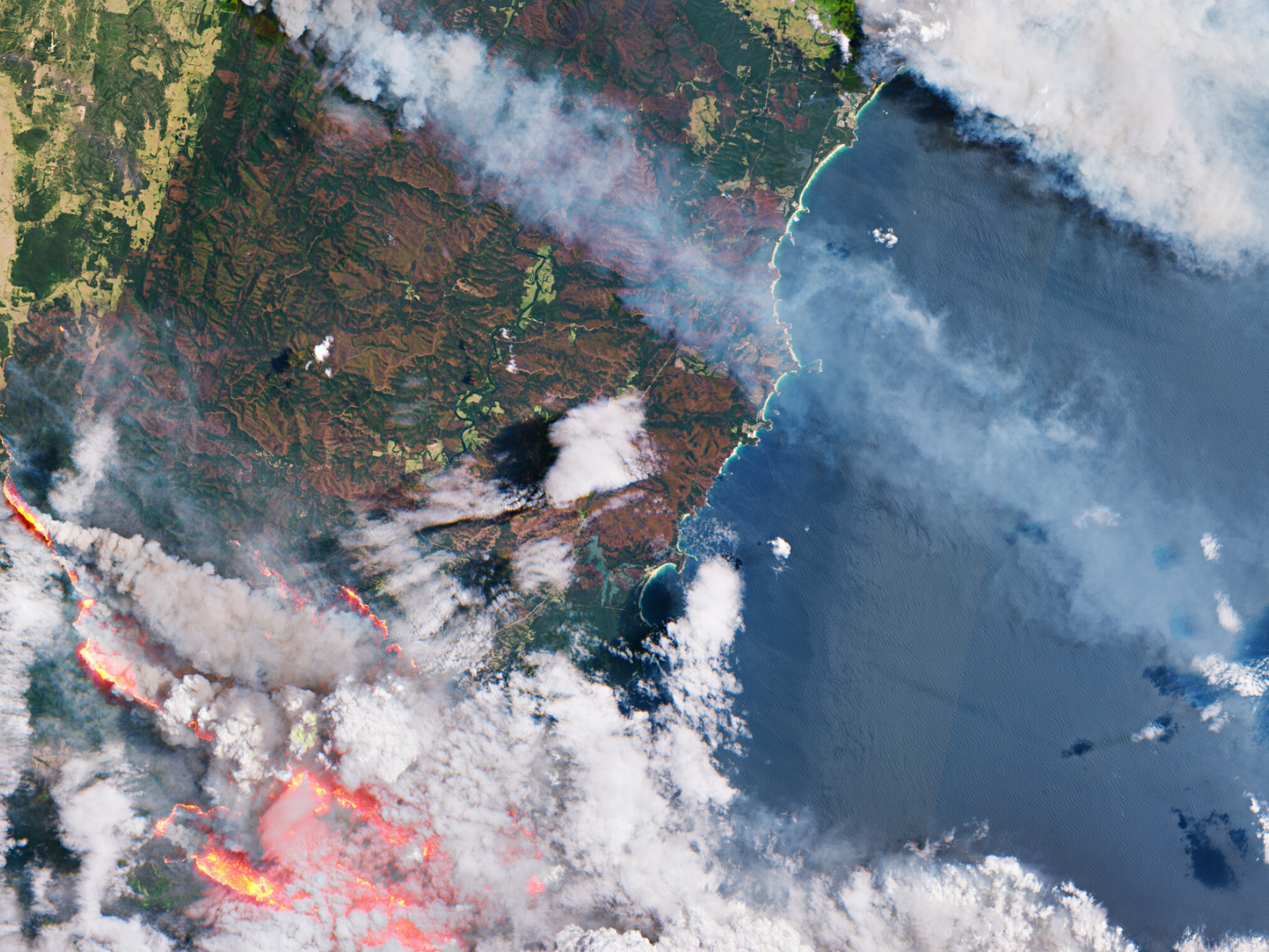 This photo is a satellite image showing wildfires on the east coast of Australia.