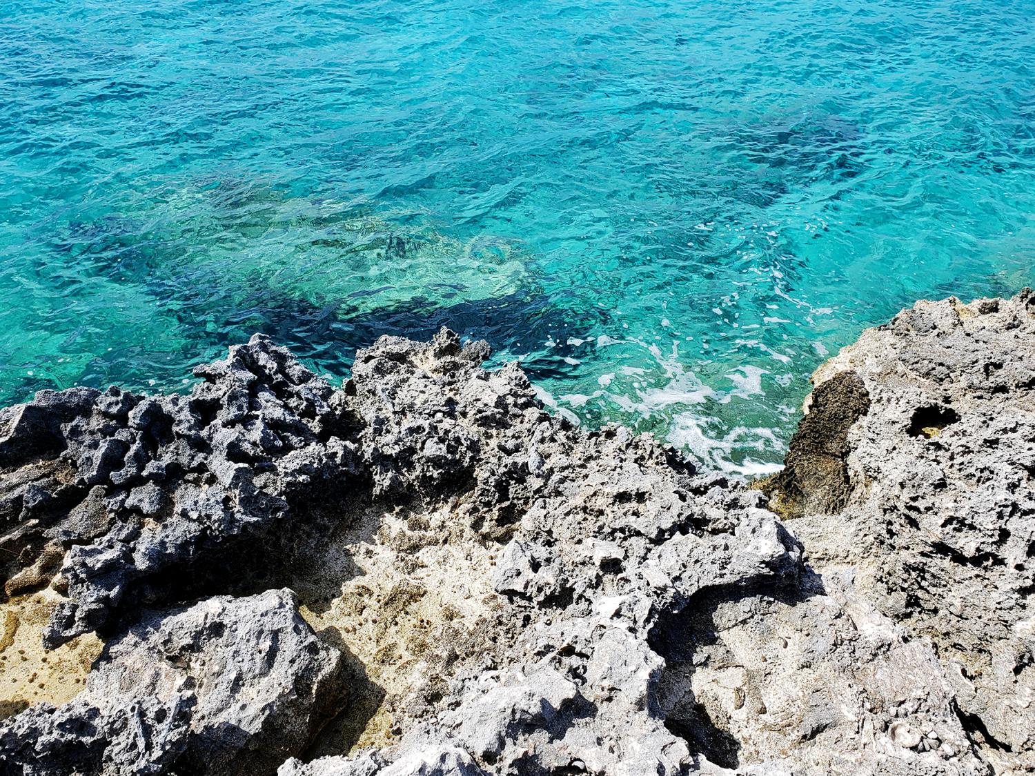 Students studied the science behind the land and water of San Salvador, an island district of the Bahamas.