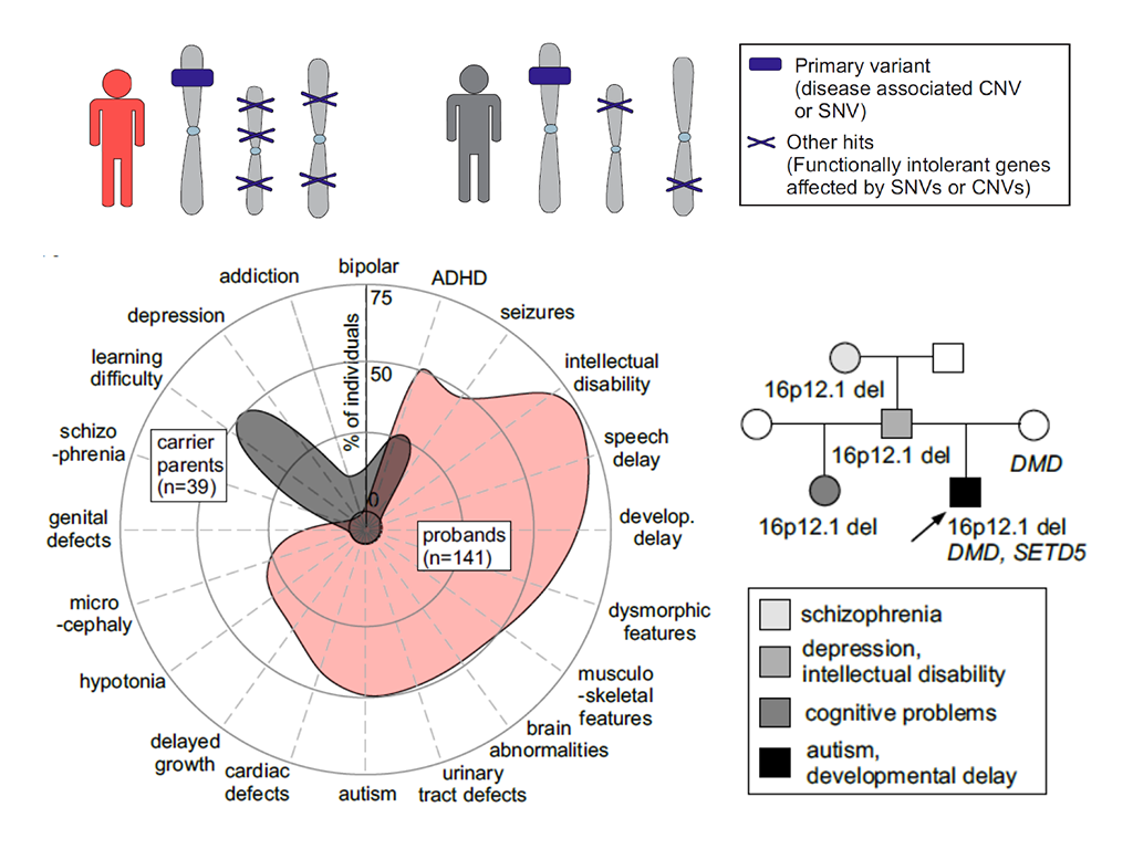 Clinical variability of disease-associated mutations can be explained by other variants in the genetic background