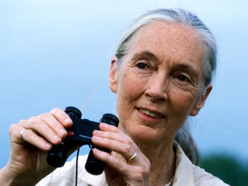 A woman is shown in a close up holding binoculars near her chin.