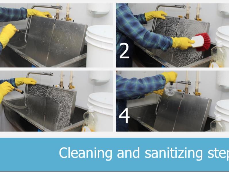 cleaning, sanitizing steps