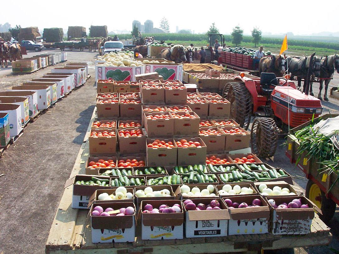 on farm readiness review