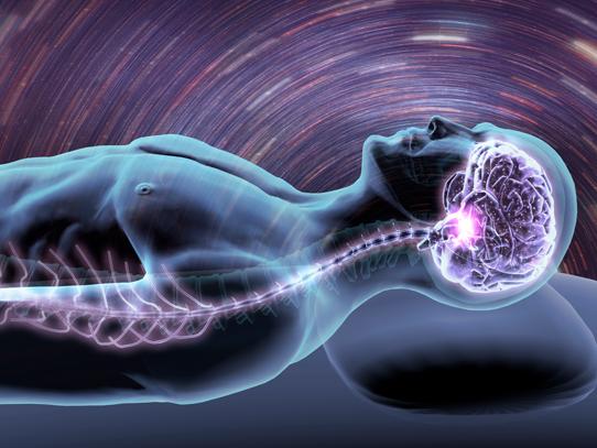Increased blood flow during sleep tied to critical brain Increased blood flow during sleep tied to critical brain