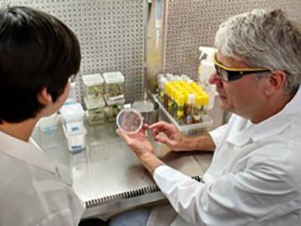 student working on research in lab with chemical engineering professor.