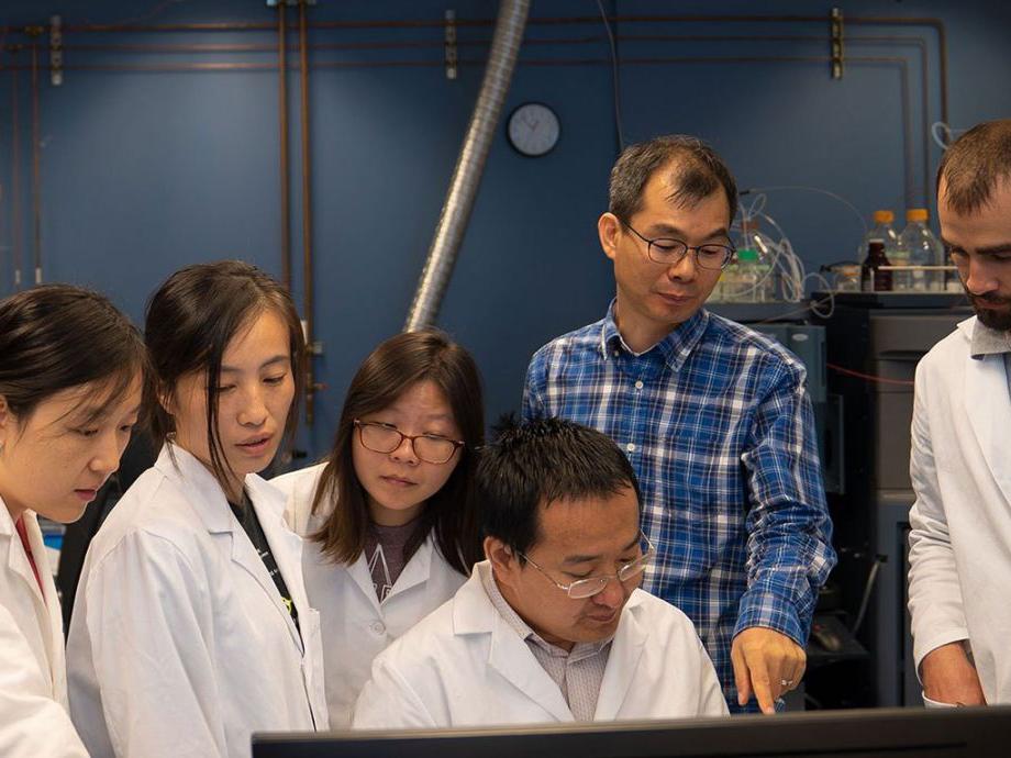 Team of researchers collaborating and talking
