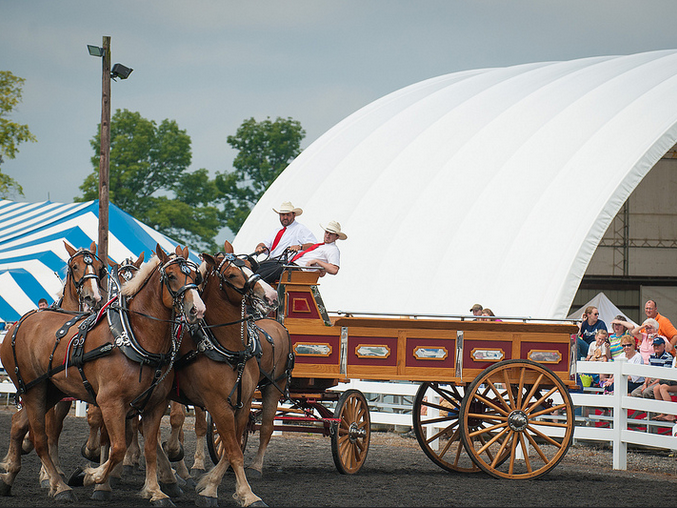 Ag Progress horse hitch