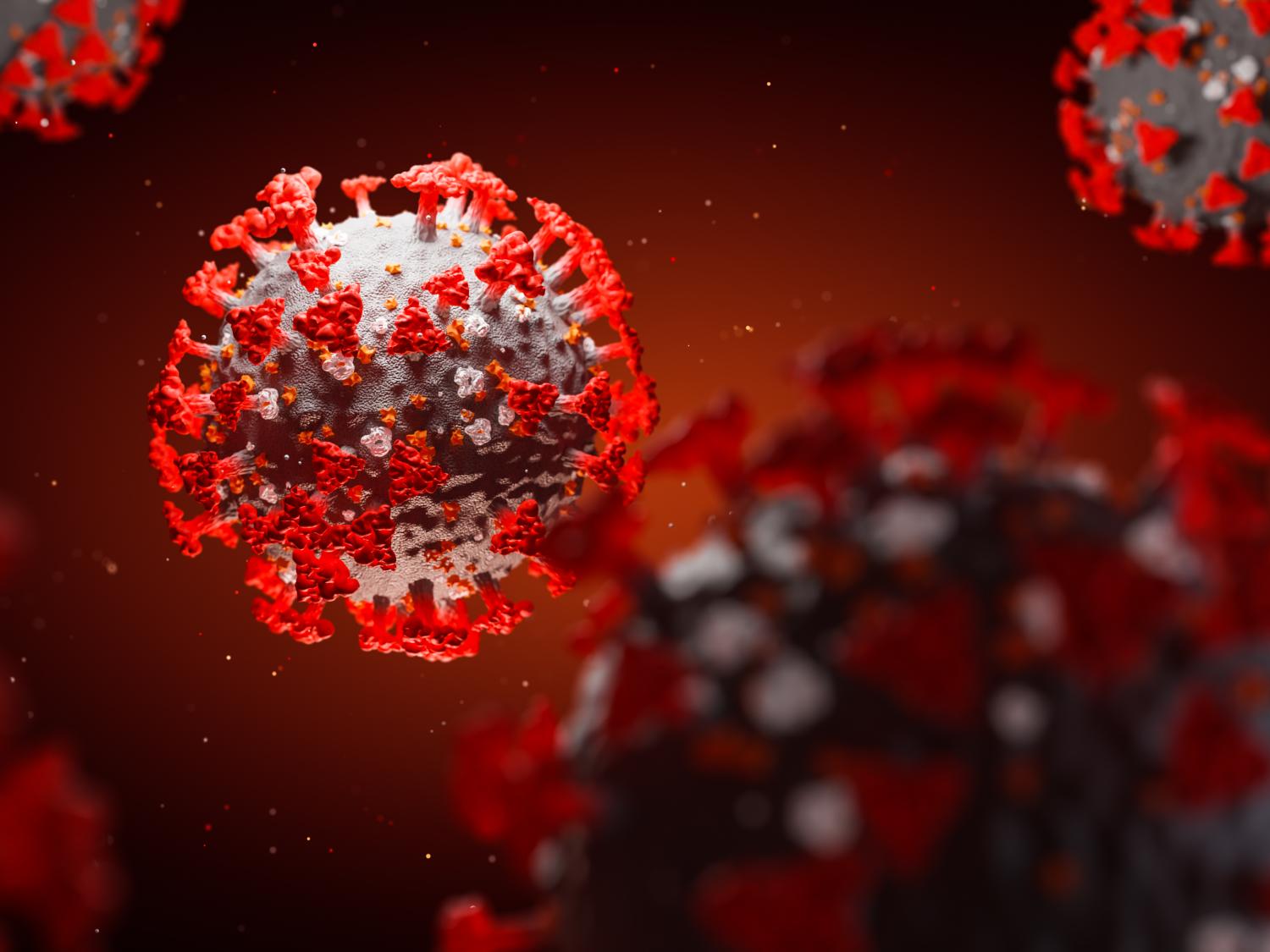 An artistic depiction of SARS-CoV-2 virus particles, resembling spheres covered with projections 