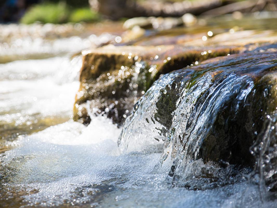 stream bubbles near rocks