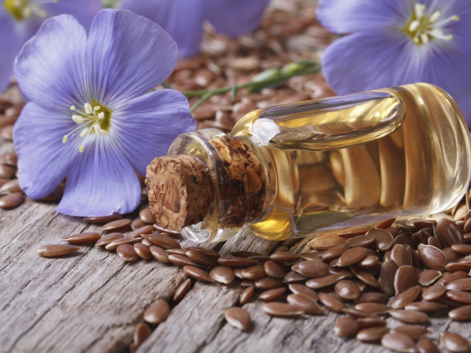 flax flower, seed, oil