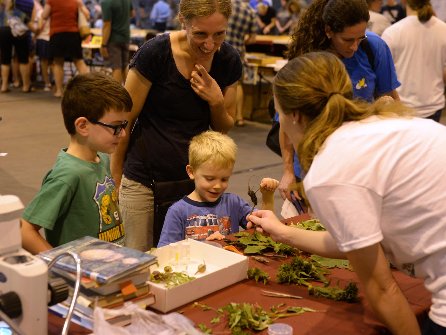 Children looking at infected leaves