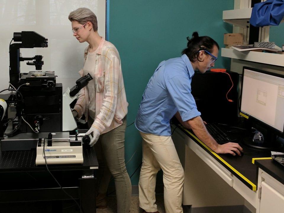Researchers working in The Center for Mathematics of Living and Mimetic Matter.
