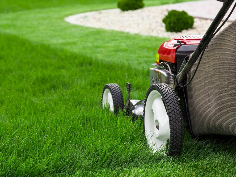 A push-style lawnmower sits in grass, part of which has been mowed, part unmowed.