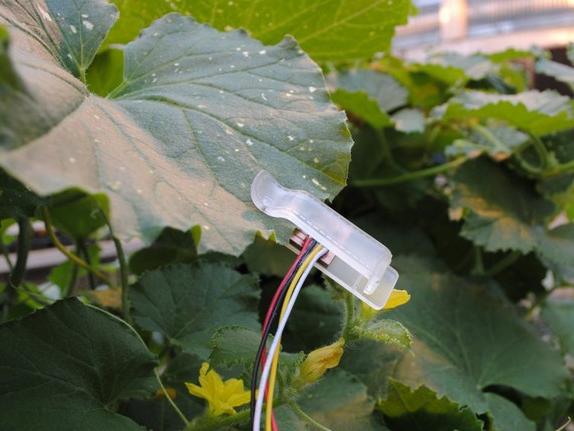 leaf sensor