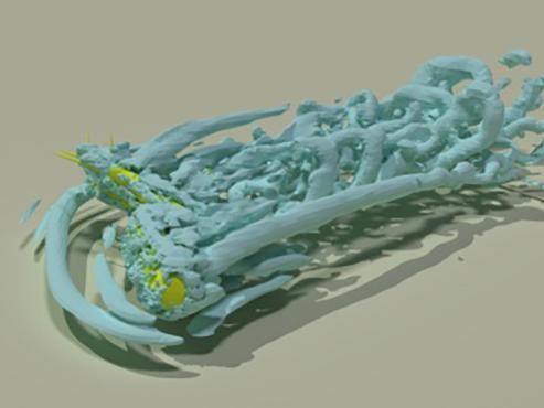 Simulated 3D flow structures around trees with Liu’s model