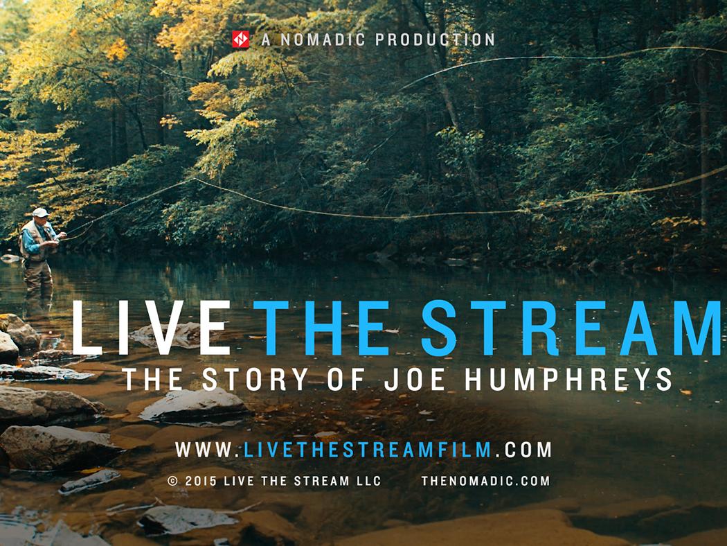 Live the Stream