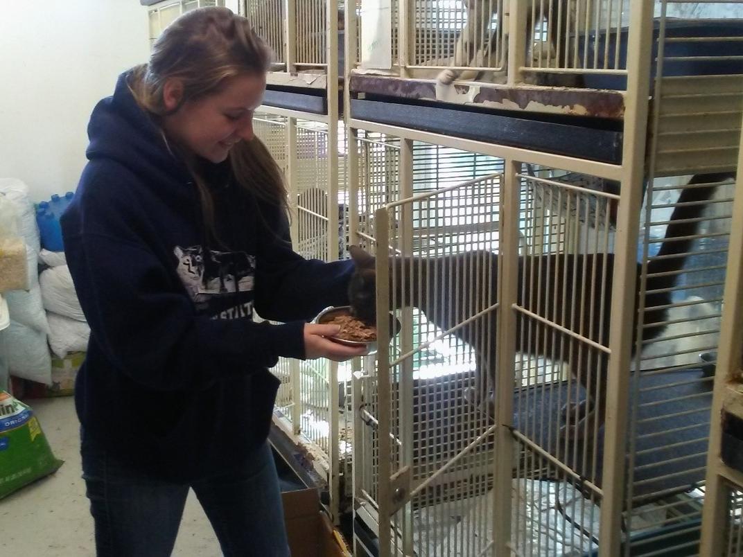 student feeding a cat