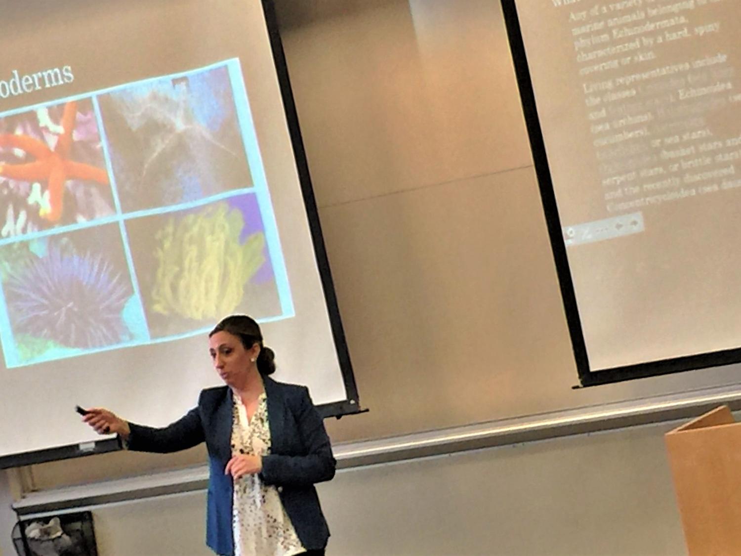 thompson showing photos of ocean life that is in her art