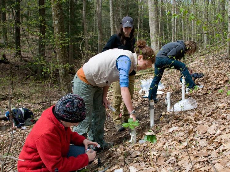 Shale Hills lysimeter collection