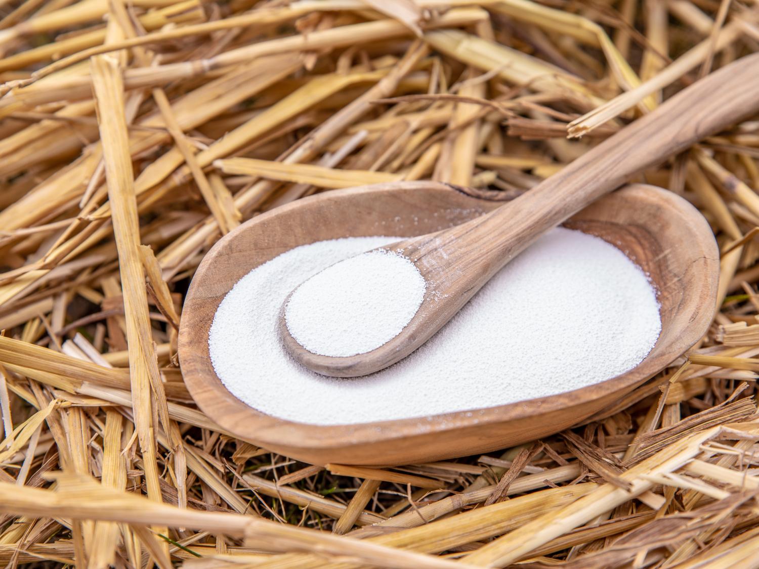 dairy feed supplements