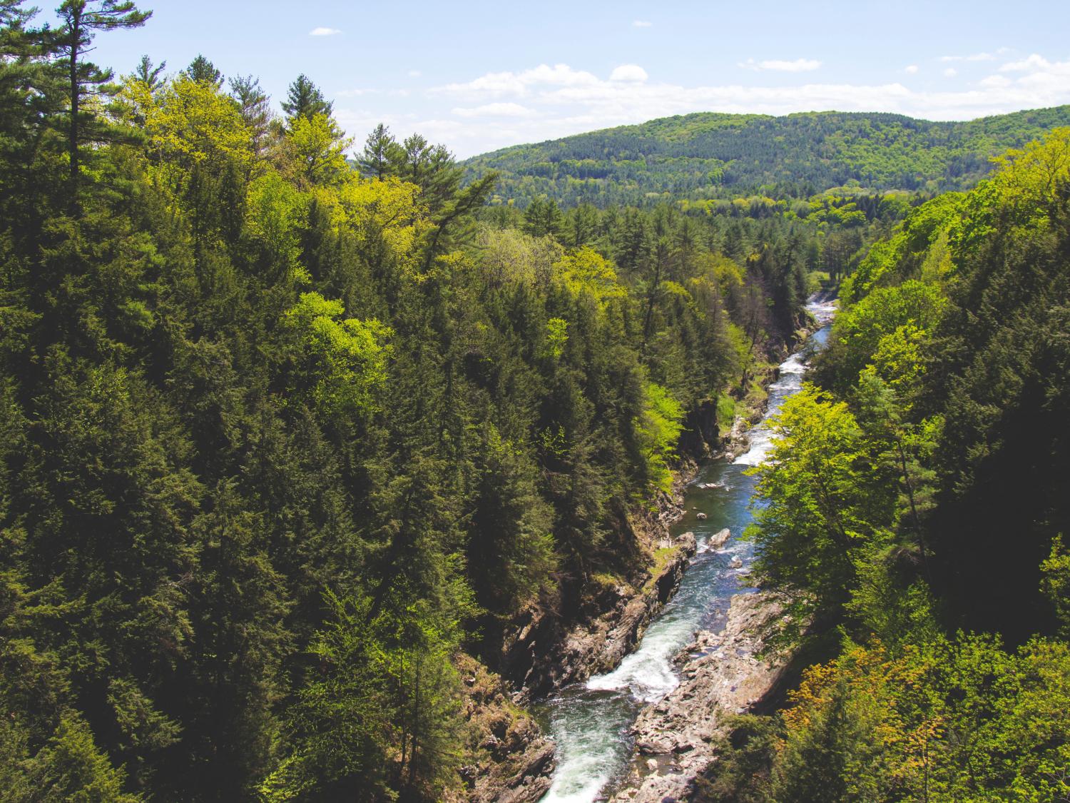 stream watershed